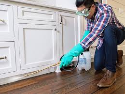 Real Estate Pest Inspections in Van Wert, OH